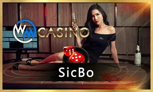 Live Roulette Game